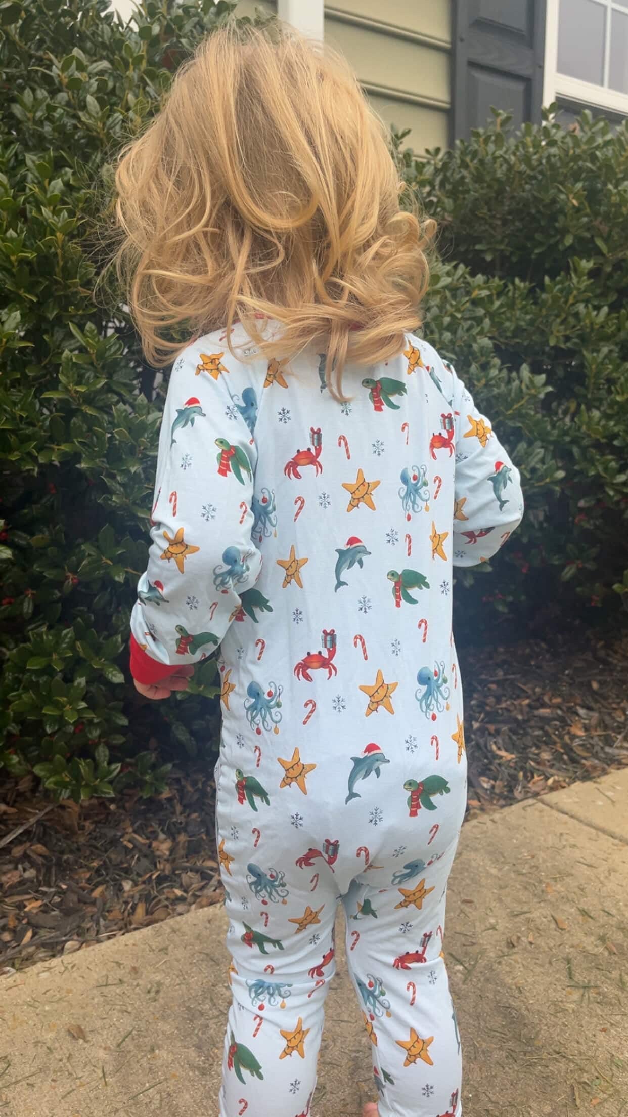 Christmas Under the Sea Zippy