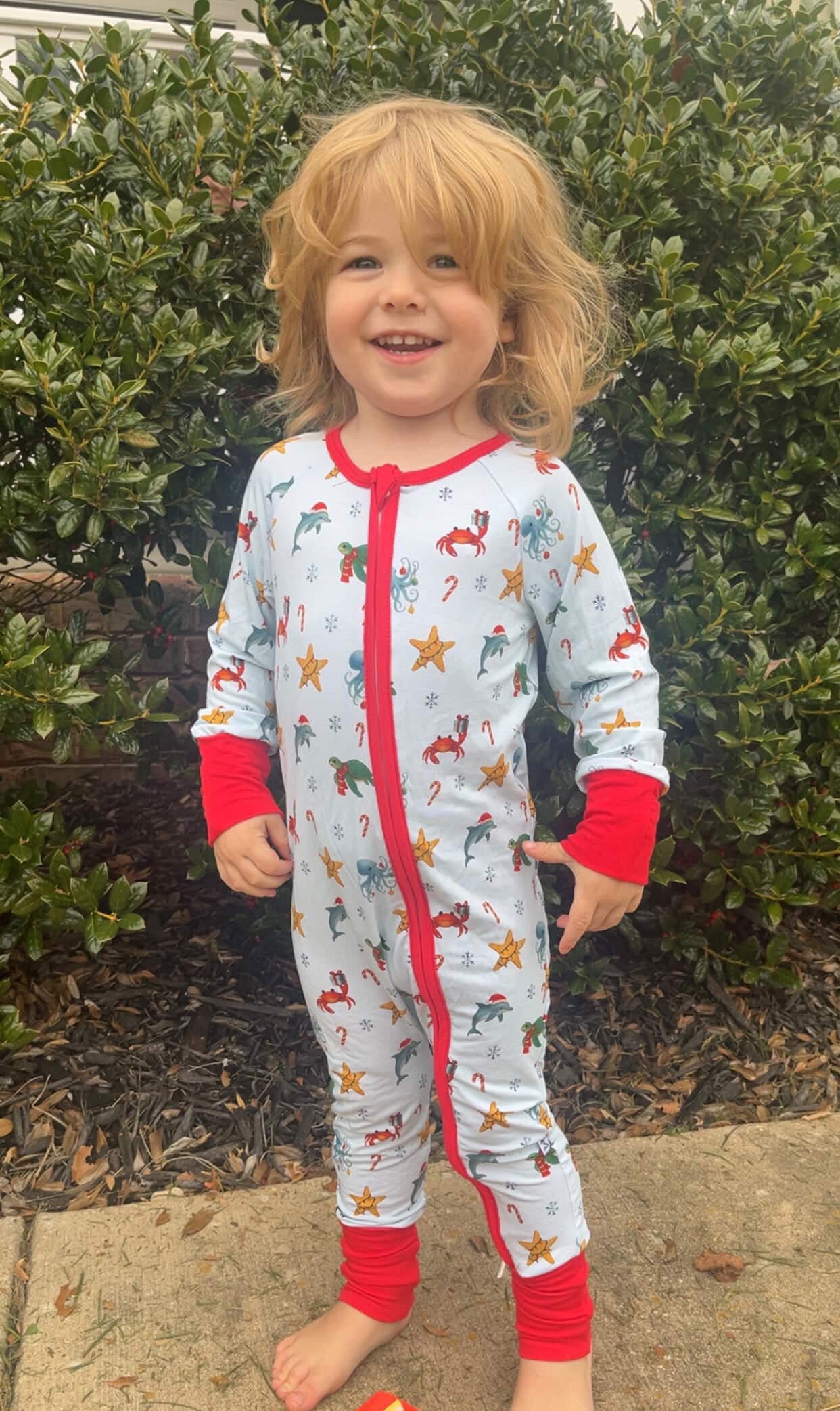 Christmas Under the Sea Zippy